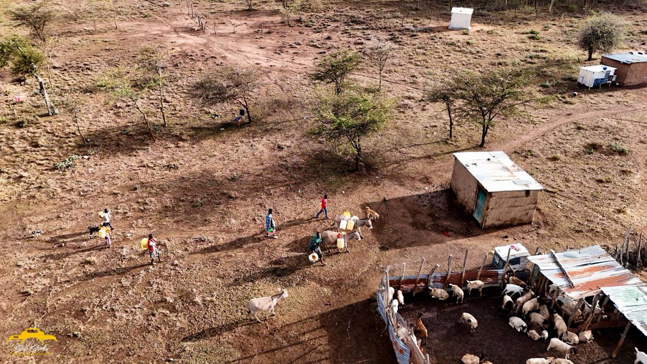 WhatsApp Image 2026-02-20 at 1.42.49 AM (2)