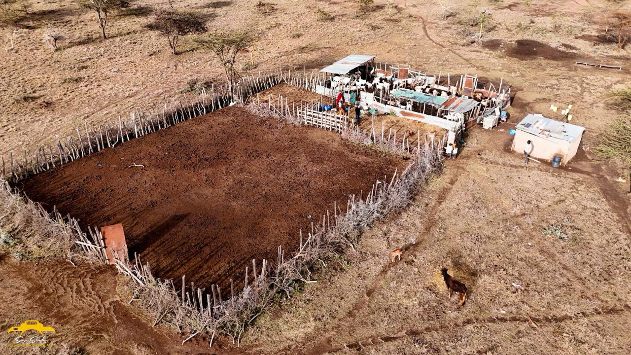 WhatsApp Image 2026-02-20 at 1.42.50 AM (1)