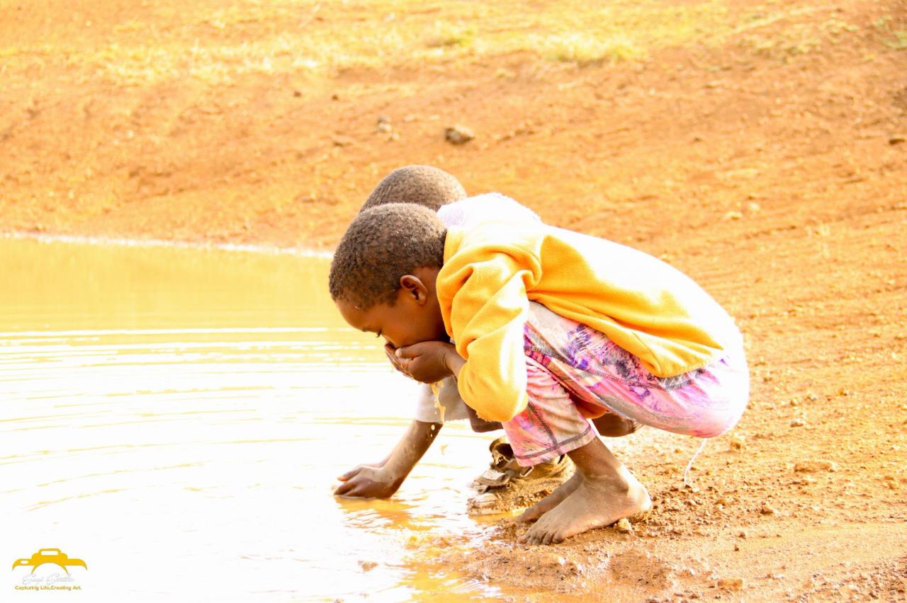 WhatsApp Image 2026-02-20 at 1.42.52 AM