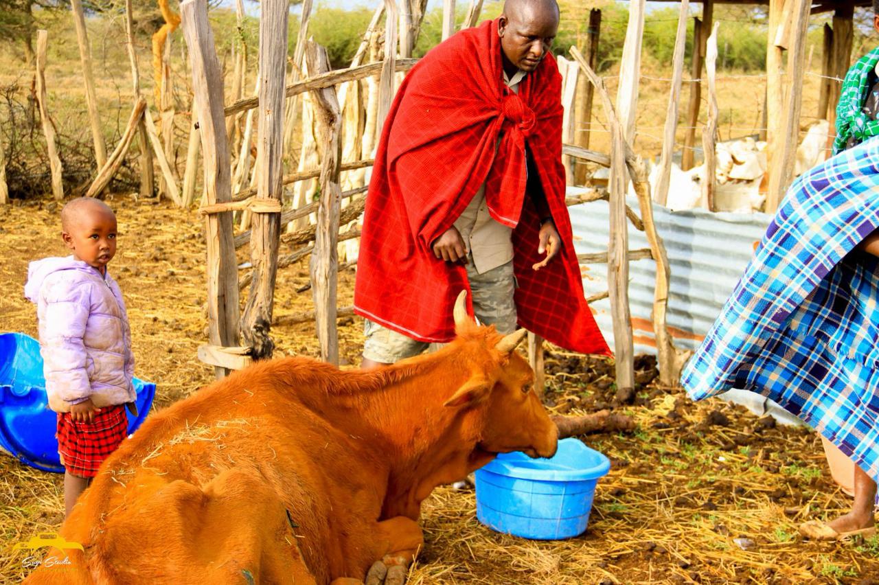 WhatsApp Image 2026-02-20 at 1.43.10 AM (1)