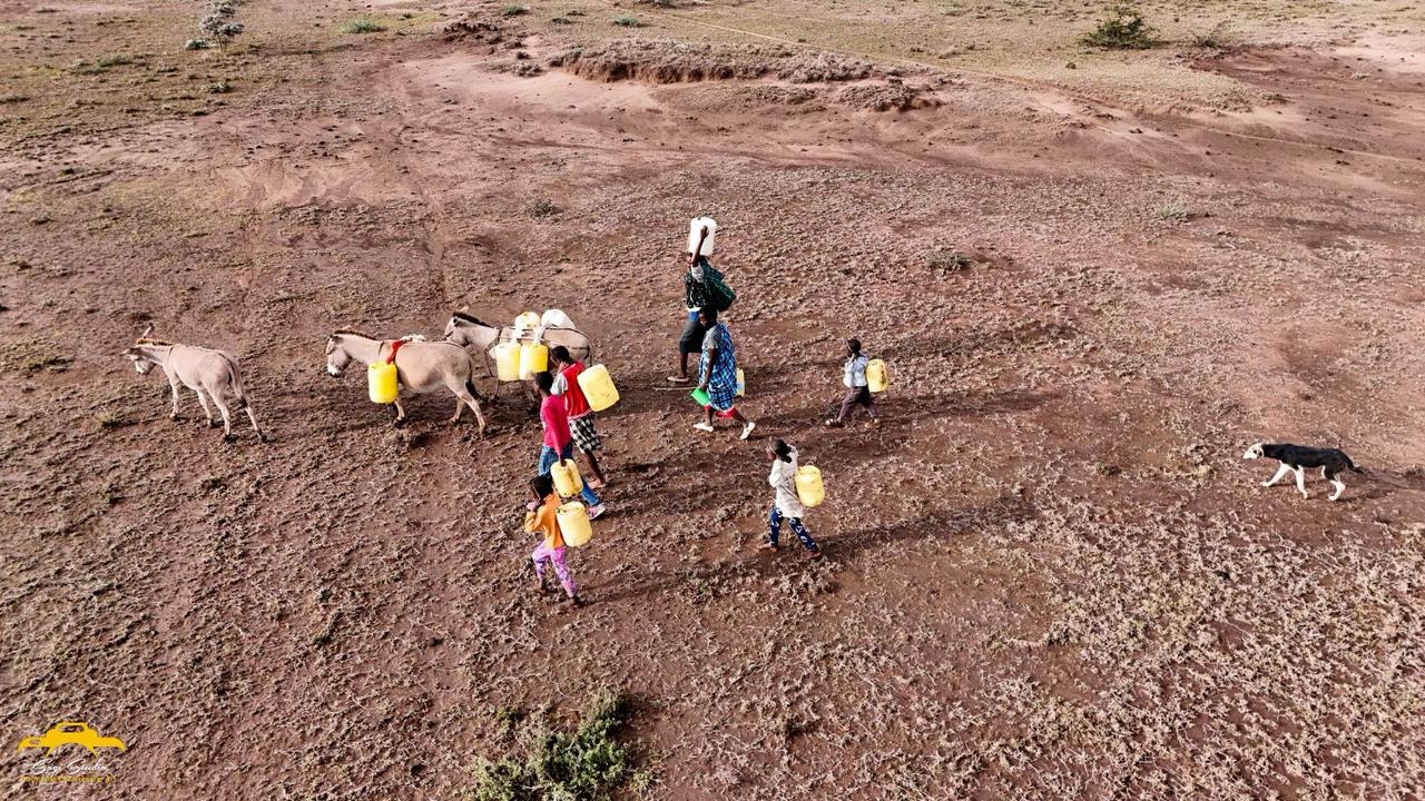 WhatsApp Image 2026-02-20 at 1.43.10 AM (2)